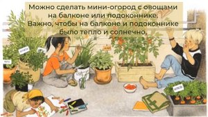«Как растут овощи» #огороднаянаука