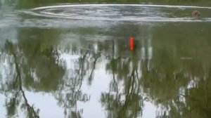 Рыбалка на реке КУБАНЬ. Ловля на донку и поплавочную удочку. Fishing angeln la pesca câu cá рыбалка