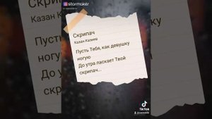 Скрипач.