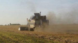 Уборочная-2022. Комбайны Енисей-950 и Енисей-1200-1НМ. Молотьба овса.