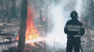 Сегодня в нашей стране отмечают День пожарной охраны