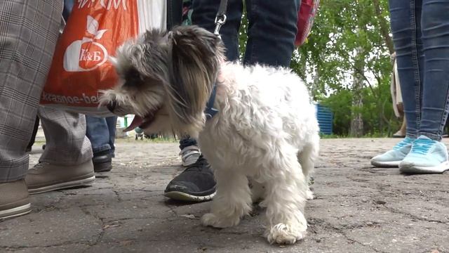 Парк встречает гостей Дня города. Ярмарка и фестиваль чудес / 14-06-22 смотреть онлайн