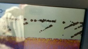 Рыбалка в г.Весьегонске.Рыбинское водохранилище.Щука,берш,окунь!!!