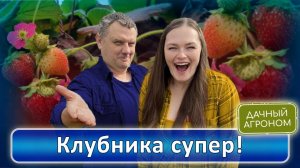 5 простых советов для урожая клубники