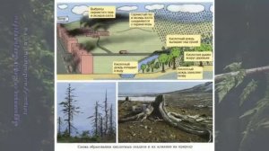 Биология 11 кл Теремов §70 Разрушение почвы и изменение климата Охрана почвы и защита климата