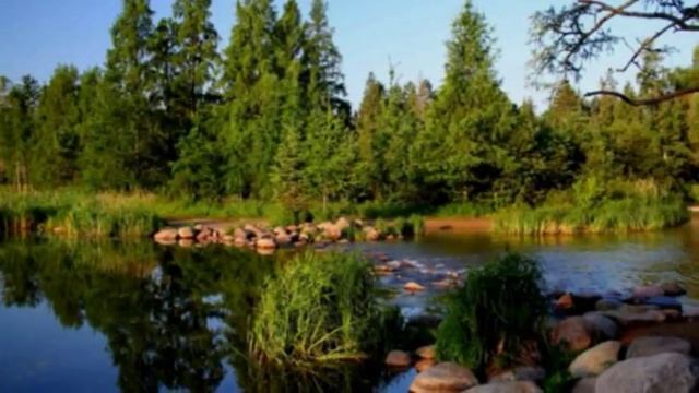 10 крупнейших рек мира