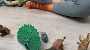 Четвёртая часть обзор шляйх , Schleich , животные , игрушки