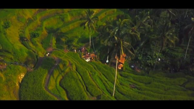 Бали Vlog. Рисовые террасы Jatiluwih и Tegalalang. Храм Tirta Empul. Наше второе жилье в Семеньяке