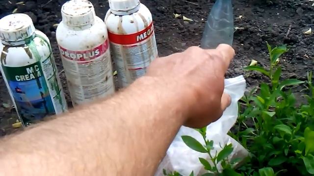 обработка винограда,моя баковая смесь смотреть онлайн