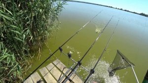 ?Карповая рыбалка. Большие карпы. Рыбачим с корабликом. Смотрим канал "Слёзы Сатоши" на рыбалке)))?