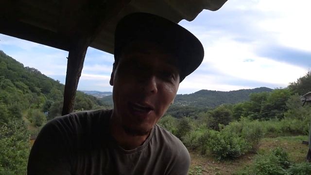 КУПИЛИ ПЕРВУЮ МЕБЕЛЬ ДЛЯ ДАЧИ ! ЖЕНА ОПЯТЬ КРИЧИТ ! СНОВА ОГРОМНЫЕ ЗМЕИ НА НАШЕМ УЧАСТКЕ ! ПРИМОРЬЕ смотреть онлайн