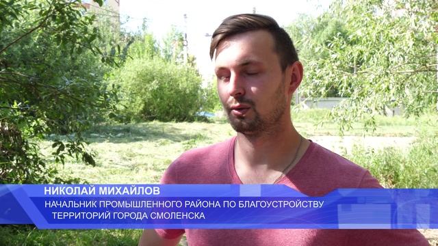МБУ «Зеленстрой» продолжает делать город чище