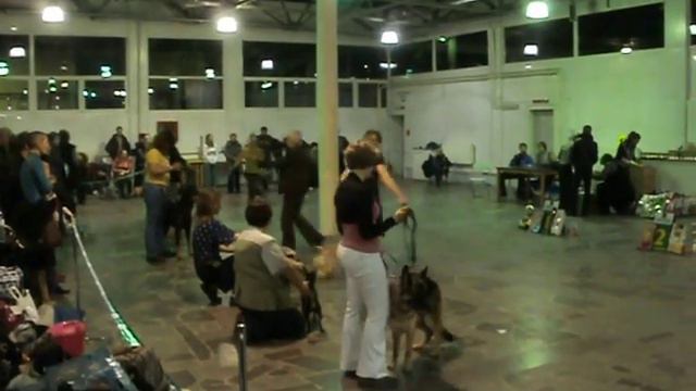 Новая папка 2 014.avi