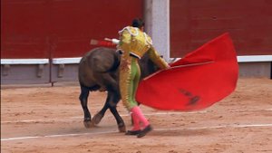 "Zooпарк" : "Дикий Френк: Быки" с 12 октября по субботам