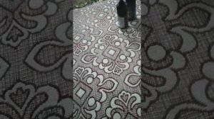 Обзор на пасито 2