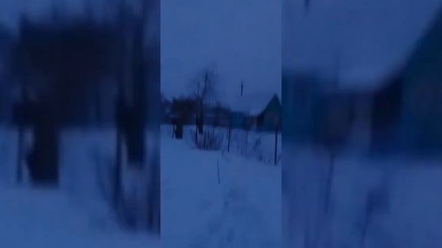 🌺С наступающим 🎉8марта🎉 День на даче✌️