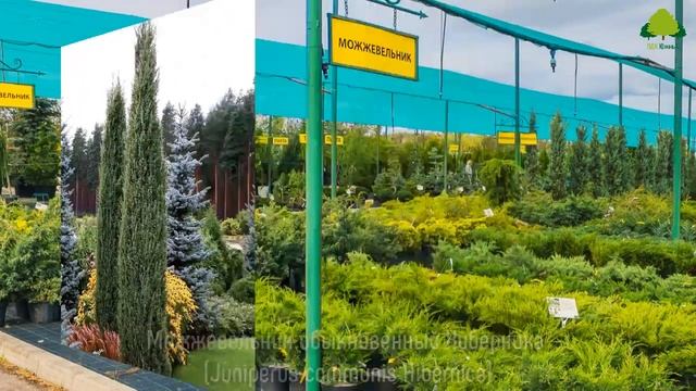 Экскурсия для профессионалов по питомнику растений