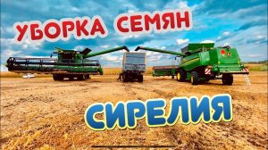 УБОРКА СЕМЕННЫХ УЧАСТКОВ ✅ ПЕРВАЯ СИРЕЛИЯ …