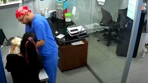 Посмотрите, что сделал кот, увидев, как ветеринар ставит укол собаке!