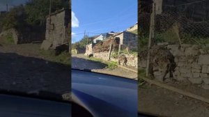 Курах. Курахский район. дорога в село Хпюк