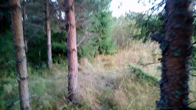 Палатка УП-2. Лето 2019 года. смотреть онлайн