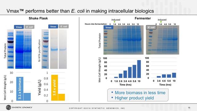 Vmax™ – a Next-generation Microbial Workhorse for the Biotech Industry смотреть онлайн