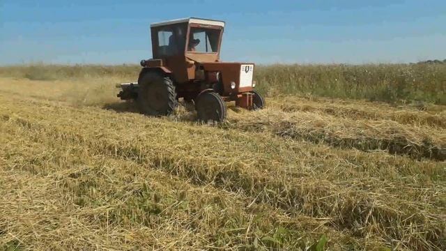 Солома на січку трактором Т-25. # Измельчитель cоломы + Т-25 #Straw chopper.