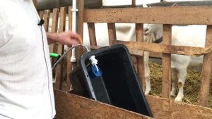 Автоматическая поилка для коз своими руками!