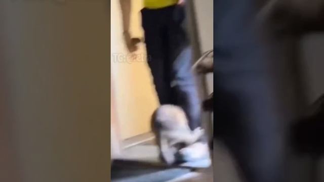 Не получилось, не фартануло смотреть онлайн