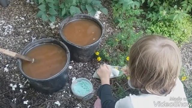 06 июля 2018 Лечим Крупнолистные гортензии от заболевания хлороз