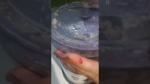 Кухонный комбайн BRAUN Identity collection food processor тестирование