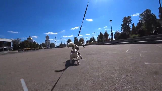 Москва-Воронеж