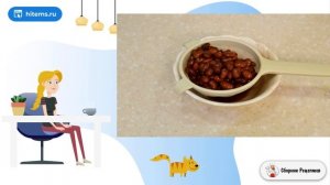 Салат из фасоли с соленым огурцом. Рецепты в домашних условиях