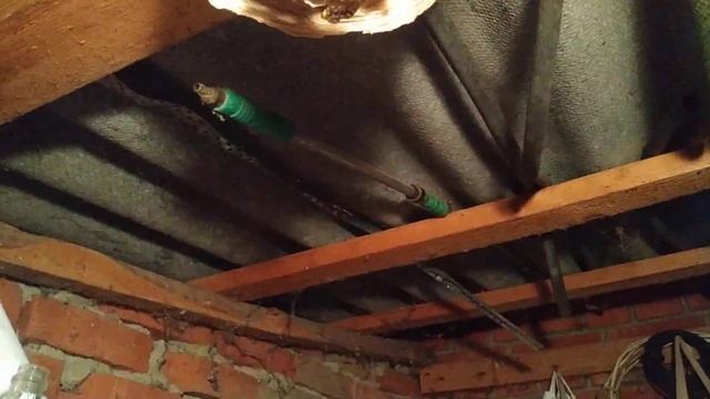 Шершни строят гнездо (ч.3)