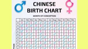 Chinese calendar baby gender prediction 2023? l Baby Gender prediction for fun l boy girl symptoms