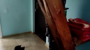 "старый доктор" Светлогорск, февраль 2023, номер двухместный комфорт