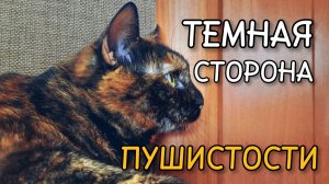 Кошачьи игры: Темная сторона "пушистости"