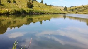 Рыбалка на диком пруду, и горной реке в горах Алтайского края, с. Сибирячиха