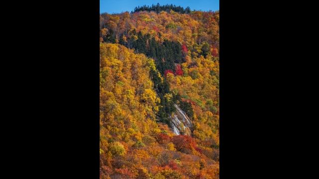 Fuji X-T3 Fall Landscape Photography with the Fuji 16-80 & 55-200 смотреть онлайн