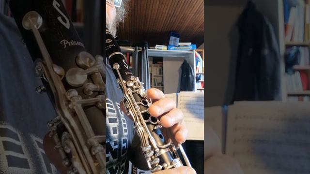 Patrick VINOT - KLEZ'NOUCHE - Cours de clarinette - Apprendre la Clarinette смотреть онлайн