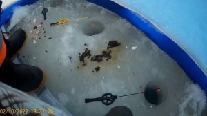 Зимняя рыбалка в Аборино: Подмосковье