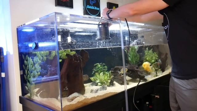 How I Do Water Changes | A Better Method смотреть онлайн
