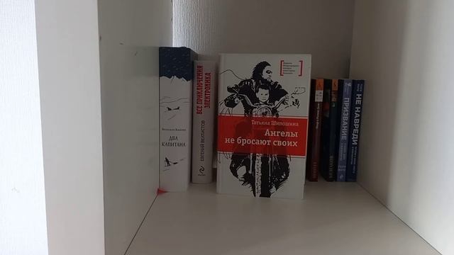 Обзор на книжные полки. смотреть онлайн