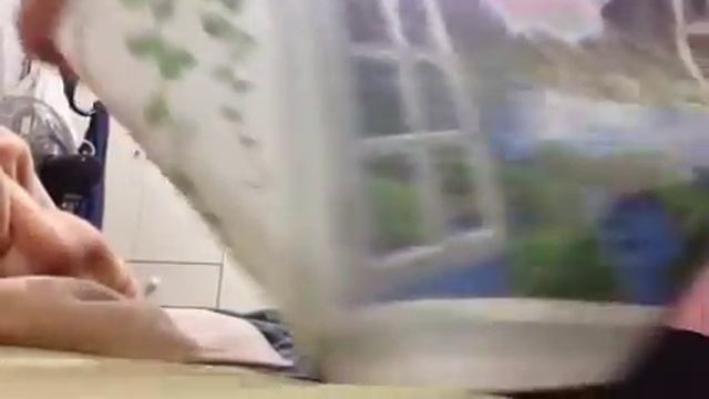 Посылка из Китая, Aliexpress -Наклейки на стены декор дома Пейзаж смотреть онлайн