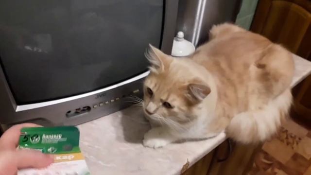 ВЛОГ. Гель для стирки из фикс прайс.Пирог от мужа .Про соду.