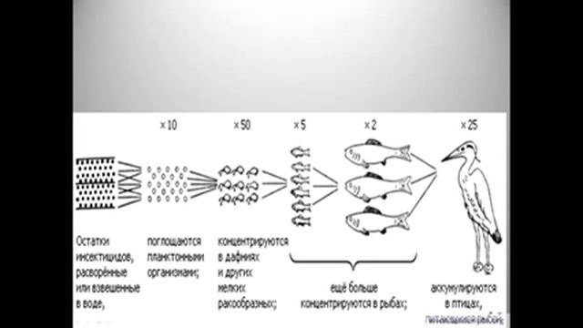 Омега 3 почему она нужна всем И почему рыбий жир лучше добывать не из рыбы, а из капсул смотреть онлайн