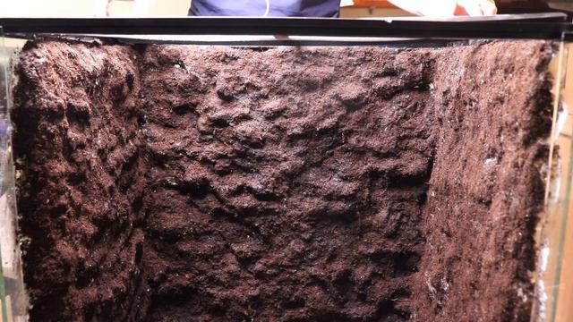 HUGE MONSOON LIANA VINE PALUDARIUM BUILD // Step By Step смотреть онлайн