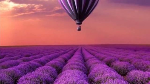 Сказка о жучке смотреть онлайн