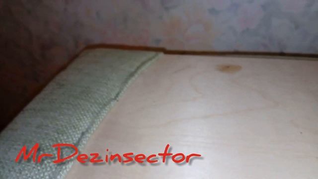 Клопы, определяем степень заражения. смотреть онлайн