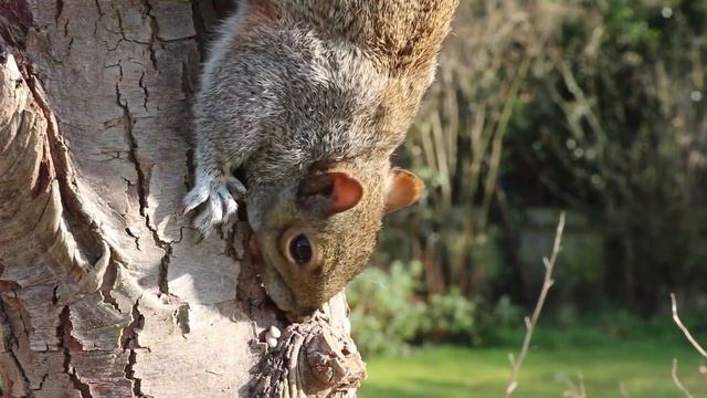 Сможет ли Вероника найти клад на пиратском острове!? Вперед, к приключениям! смотреть онлайн